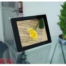 Cheap 12 inch digital photo frames